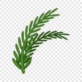 Fresh rosemary sprigs icon, cartoon style