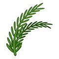 Fresh rosemary sprigs icon, cartoon style Royalty Free Stock Photo