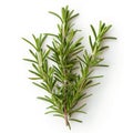 Fresh rosemary sprigs isolated on white, top view, perfect for culinary and health themes. Royalty Free Stock Photo