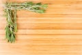 Fresh rosemary sprigs Royalty Free Stock Photo