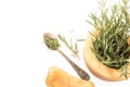 Fresh rosemary in wooden mortar with pestle on withe background. Royalty Free Stock Photo