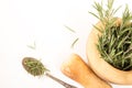 Fresh rosemary in wooden mortar with pestle on withe background. Royalty Free Stock Photo