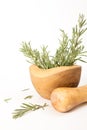 Fresh rosemary in wooden mortar with pestle on withe background. Royalty Free Stock Photo