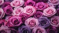 fresh roses background generated by AI tool