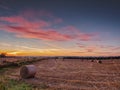 Fresh round bale of hey in a field at sunrise, blue colorful cloudy sky, Nobody. Concept agriculture process Royalty Free Stock Photo