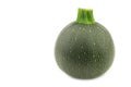 Fresh round zucchini Royalty Free Stock Photo