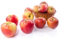 Fresh royal gala apples Royalty Free Stock Photo