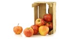 Fresh royal gala apples in a wooden crate