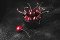 Fresh ruby cherries on black background. Dark moody close up still life Royalty Free Stock Photo