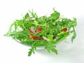 Fresh rucola Royalty Free Stock Photo