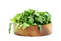 Fresh rucola Royalty Free Stock Photo