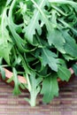 Fresh rucola Royalty Free Stock Photo