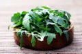 Fresh rucola Royalty Free Stock Photo