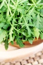 Fresh rucola Royalty Free Stock Photo