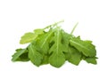 Fresh rucola isolated Royalty Free Stock Photo