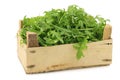 Fresh rucola leaves (Eruca sativa)