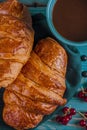 Fresh ruddy croissants with berries lie on a wooden table next to fresh black currant berries, red currants Royalty Free Stock Photo