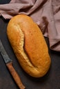 Fresh, ruddy wheat bread on a rustic concrete background. Royalty Free Stock Photo