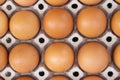 Fresh rural brown eggs packed into a cardboard container