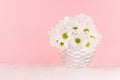 Fresh rural white garden chamomile flowers in glossy grey elegant vase on soft light white wood board and pink wall.