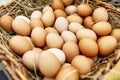 Fresh rustic eggs in a wicker basket. Close-up Royalty Free Stock Photo