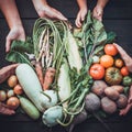 Fresh rustic organic harvest, farmer produce