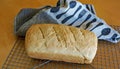 Fresh, rustic, whole wheat bread on wooden table