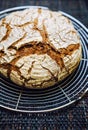 Fresh rye flour bread, closeup Royalty Free Stock Photo