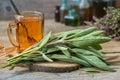 Fresh sage, cup of healthy salvia tea, medicinal herbs and glass bottles of essential oil and tincture on background