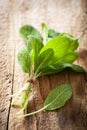 Fresh sage herb leaves on rustic wooden background Royalty Free Stock Photo