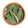 Fresh sage leaves, common sage, Salvia officinalis, in a wooden bowl