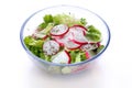 Fresh radish and lettuce salad Royalty Free Stock Photo