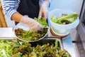 Fresh Salad bar counter with person`s hands lifting Lettuce into a plate for healthy and diet meal with smooth light and shadow Royalty Free Stock Photo