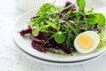 Fresh salad with beetroot, mix leaves, olive oil, egg and sesame seeds Royalty Free Stock Photo