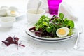 Fresh salad with beetroot, mix leaves, olive oil, egg and sesame seeds Royalty Free Stock Photo