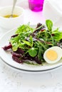 Fresh salad with beetroot, mix leaves, olive oil, egg and sesame seeds Royalty Free Stock Photo