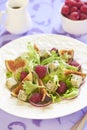 Fresh salad with blue cheese, raspberry and figs Royalty Free Stock Photo