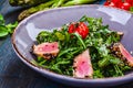 Fresh salad bowl with arugula, tuna and cherry tomato. Healthy food. Diet menu Royalty Free Stock Photo