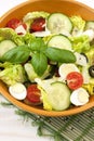 Fresh salad in bowl. Healthy food. Royalty Free Stock Photo