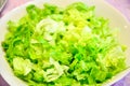 Fresh salad in a bowl Royalty Free Stock Photo