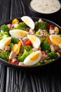 Fresh salad with canned tuna, broccoli, tomatoes, onions and eggs close-up in a plate. vertical Royalty Free Stock Photo