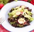 Fresh salad with cheese and radish Royalty Free Stock Photo