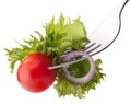 Fresh salad and cherry tomato on fork isolated on white background cutout. Royalty Free Stock Photo