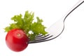 Fresh salad and cherry tomato on fork isolated on white background cutout. Royalty Free Stock Photo