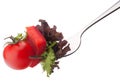 Fresh salad and cherry tomato on fork isolated on white background cutout. Royalty Free Stock Photo