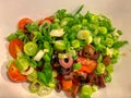 Fresh salad with cherry tomatoes, green onions and olives Royalty Free Stock Photo