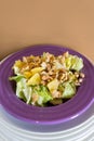 Fresh salad with chicken meat, oranges, walnuts, greens and herbs and olive oil on a bright colorful ceramic plates stacked. Porti Royalty Free Stock Photo