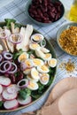 Fresh salad with chicken, red beans, cucumber, radish, eggs and onion Royalty Free Stock Photo