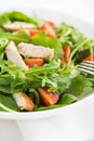 Fresh salad with chicken, tomato and greens (spinach, arugula) Royalty Free Stock Photo