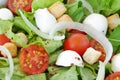 Fresh salad close-up Royalty Free Stock Photo
